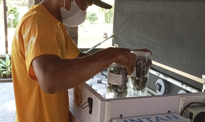 Menemukan Penyu Bertelur di Pantai Pulau Santen