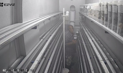 Menemukan Penyu Bertelur di Pantai Mirah