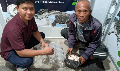 Menemukan Penyu Bertelur di Pantai Boom
