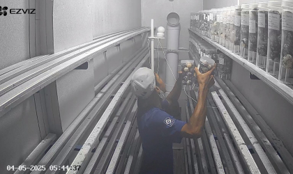 Menemukan Penyu Bertelur di Pantai Sobo