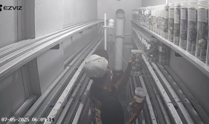 Menemukan Penyu Bertelur di Pantai Pulau Santen