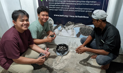 Menemukan Penyu Bertelur di Pantai Pulau Santen
