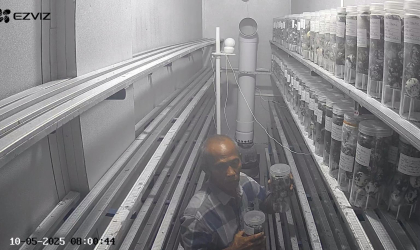 Menemukan Penyu Bertelur di Pantai Mirah