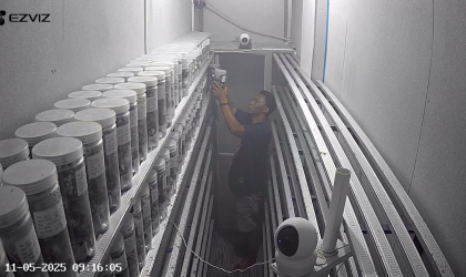 Menemukan Penyu Bertelur di Pantai Cacalan