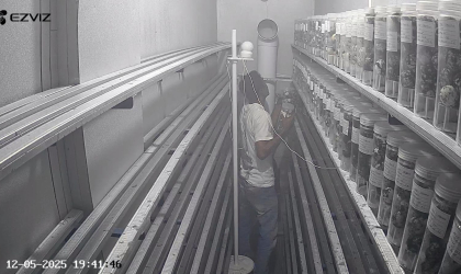 Menemukan Penyu Bertelur di Pantai Pulau Santen