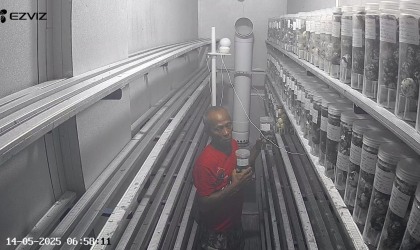 Menemukan Penyu Bertelur di Pantai Boom