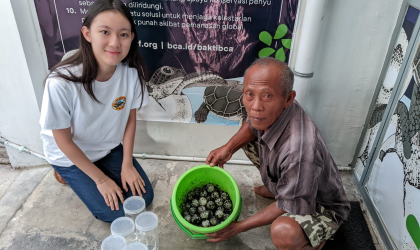 Menemukan Penyu Bertelur di Pantai Mirah