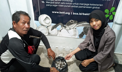 Menemukan Penyu Bertelur di Pantai Boom