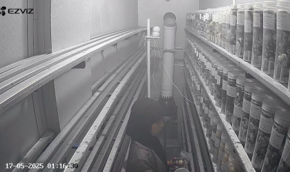 Menemukan Penyu Bertelur di Pantai Boom