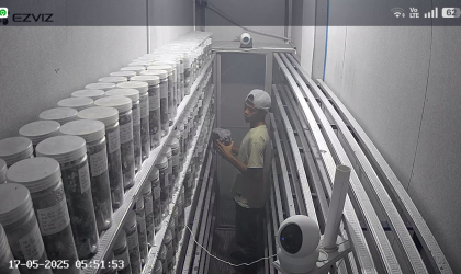 Menemukan Penyu Bertelur di Pantai Pulau Santen