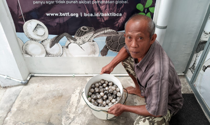 Menemukan Penyu Bertelur di Pantai Boom