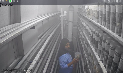 Menemukan Penyu Bertelur di Pantai Cacalan