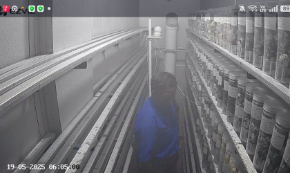 Menemukan Penyu Bertelur di Pantai Boom