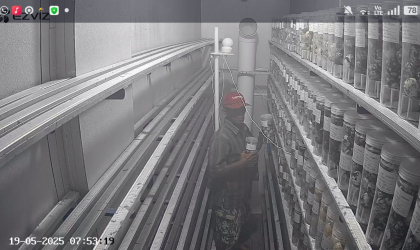 Menemukan Penyu Bertelur di Pantai Mirah