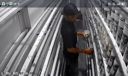 Menemukan Penyu Bertelur di Pantai Sobo