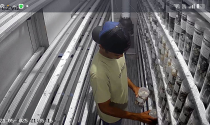 Menemukan Penyu Bertelur di Pantai Pulau Santen