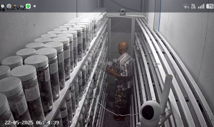 Menemukan Penyu Bertelur di Pantai Mirah