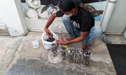 Menemukan Penyu Bertelur di Pantai Pulau Santen