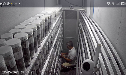 Menemukan Penyu Bertelur di Pantai Donosuko