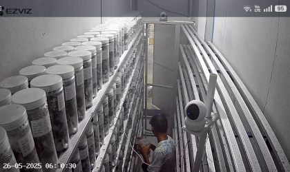 Menemukan Penyu Bertelur di Pantai Sobo