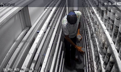 Menemukan Penyu Bertelur di Pantai Boom