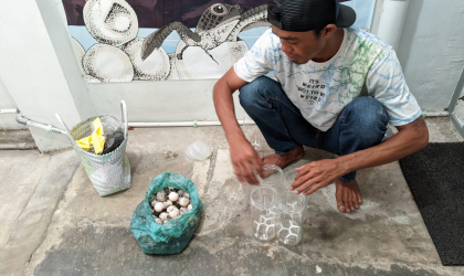 Menemukan Penyu Bertelur di Pantai Pulau Santen