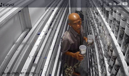 Menemukan Penyu Bertelur di Pantai Mirah