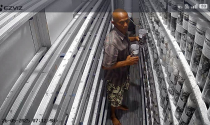 Menemukan Penyu Bertelur di Pantai Mirah