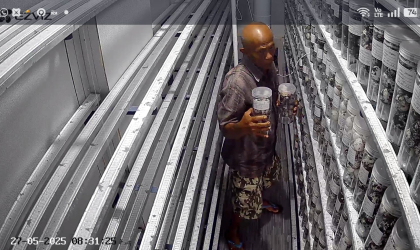 Menemukan Penyu Bertelur di Pantai Mirah