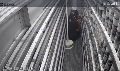 Menemukan Penyu Bertelur di Pantai Pulau Santen