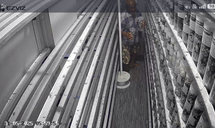 Menemukan Penyu Bertelur di Pantai Donosuko