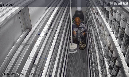 Menemukan Penyu Bertelur di Pantai Boom