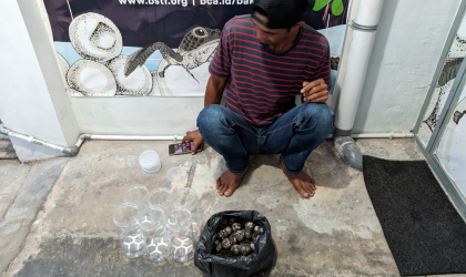 Menemukan Penyu Bertelur di Pantai Sobo