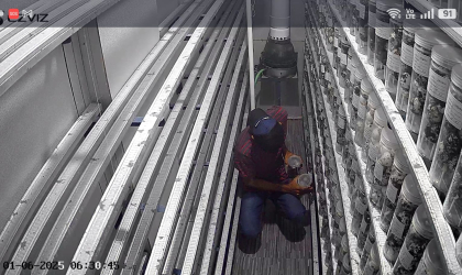 Menemukan Penyu Bertelur di Pantai Sobo