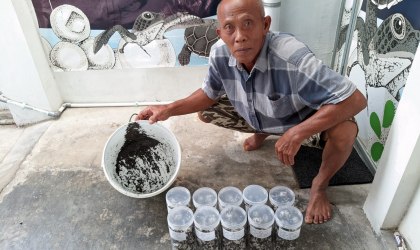 Menemukan Penyu Bertelur di Pantai Boom