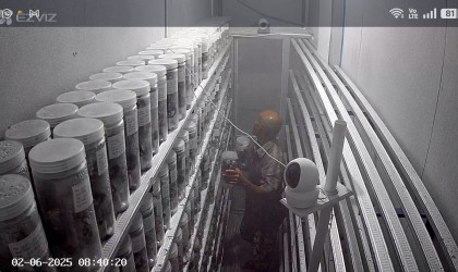 Menemukan Penyu Bertelur di Pantai Boom