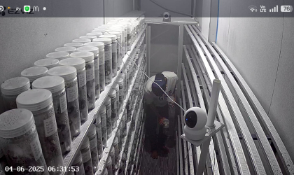 Menemukan Penyu Bertelur di Pantai Pulau Santen