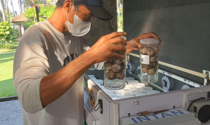 Menemukan Penyu Bertelur di Pantai Pondok Nongko