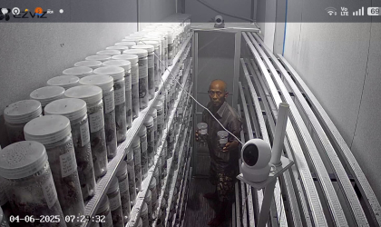 Menemukan Penyu Bertelur di Pantai Boom