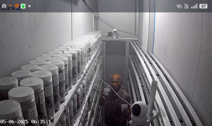 Menemukan Penyu Bertelur di Pantai Boom