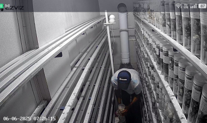 Menemukan Penyu Bertelur di Pantai Sobo