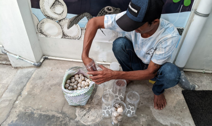 Menemukan Penyu Bertelur di Pantai Sobo