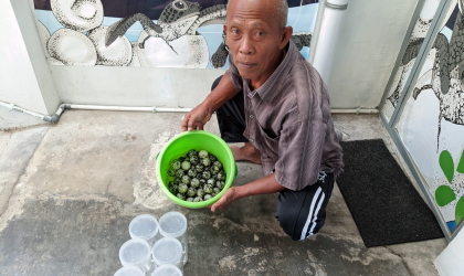 Menemukan Penyu Bertelur di Pantai Boom