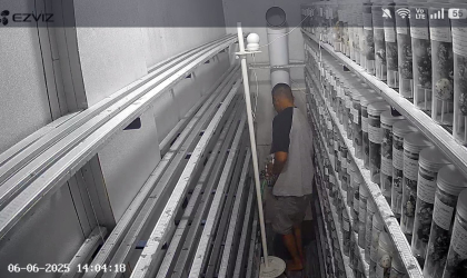 Menemukan Penyu Bertelur di Pantai Mirah