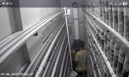 Menemukan Penyu Bertelur di Pantai Pulau Santen