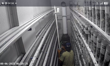 Menemukan Penyu Bertelur di Pantai Sobo