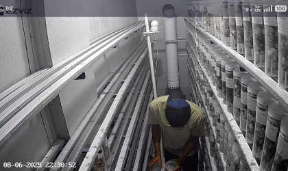 Menemukan Penyu Bertelur di Pantai Sobo