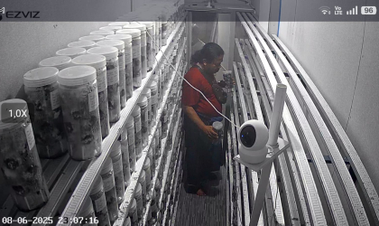 Menemukan Penyu Bertelur di Pantai Pulau Santen