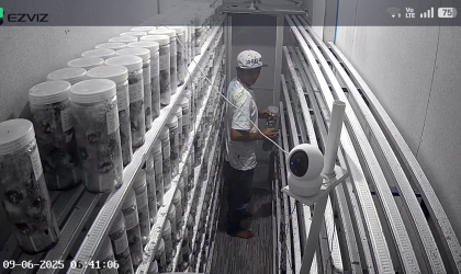 Menemukan Penyu Bertelur di Pantai Pulau Santen