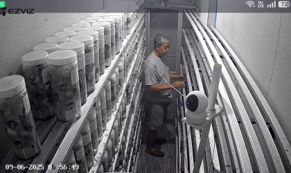 Menemukan Penyu Bertelur di Pantai Donosuko